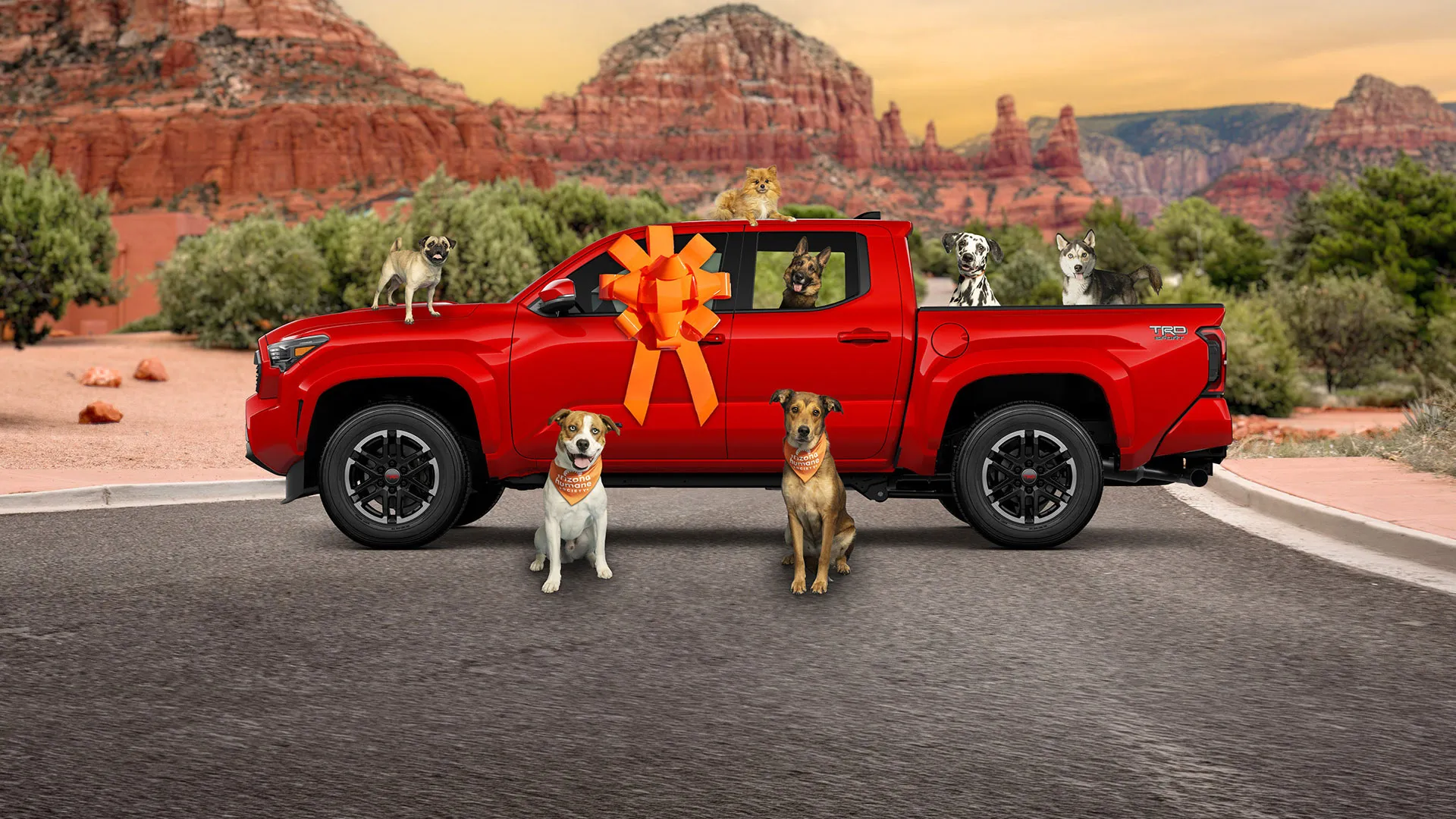 Arizona Humane Society Prize Raffle hero