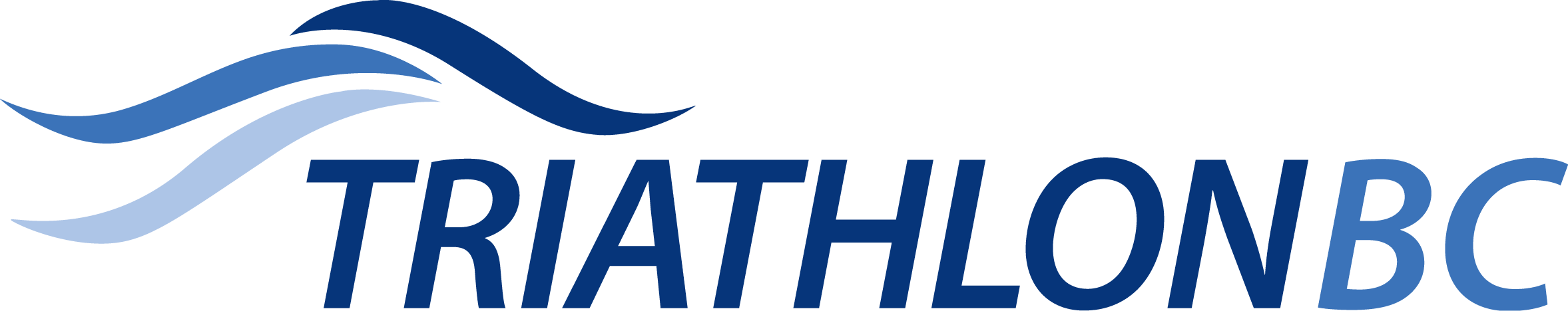 Triathlon logo