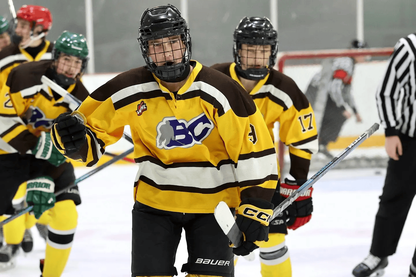 BC Hockey Cause Image