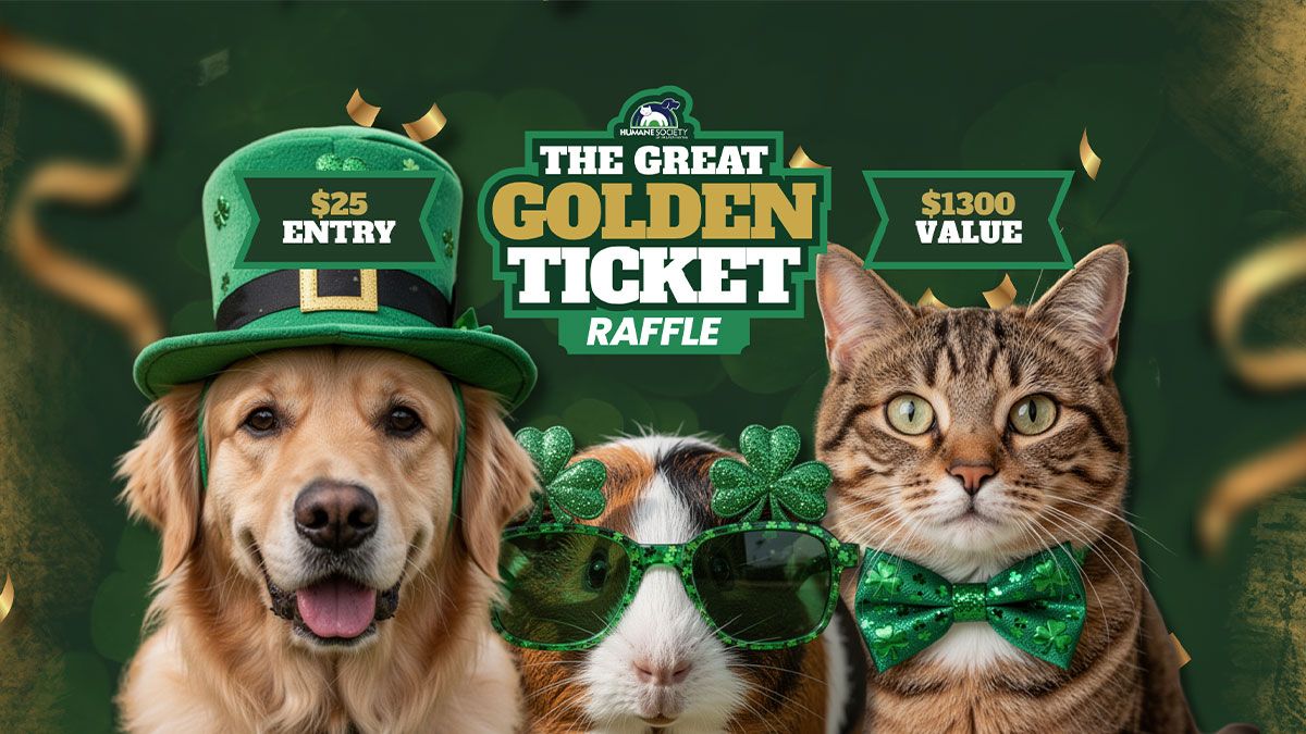 Home - The Golden Ticket Raffle | Humane Society of Greater Dayton