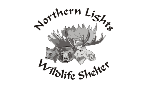 Northern Lights Wildlife Society