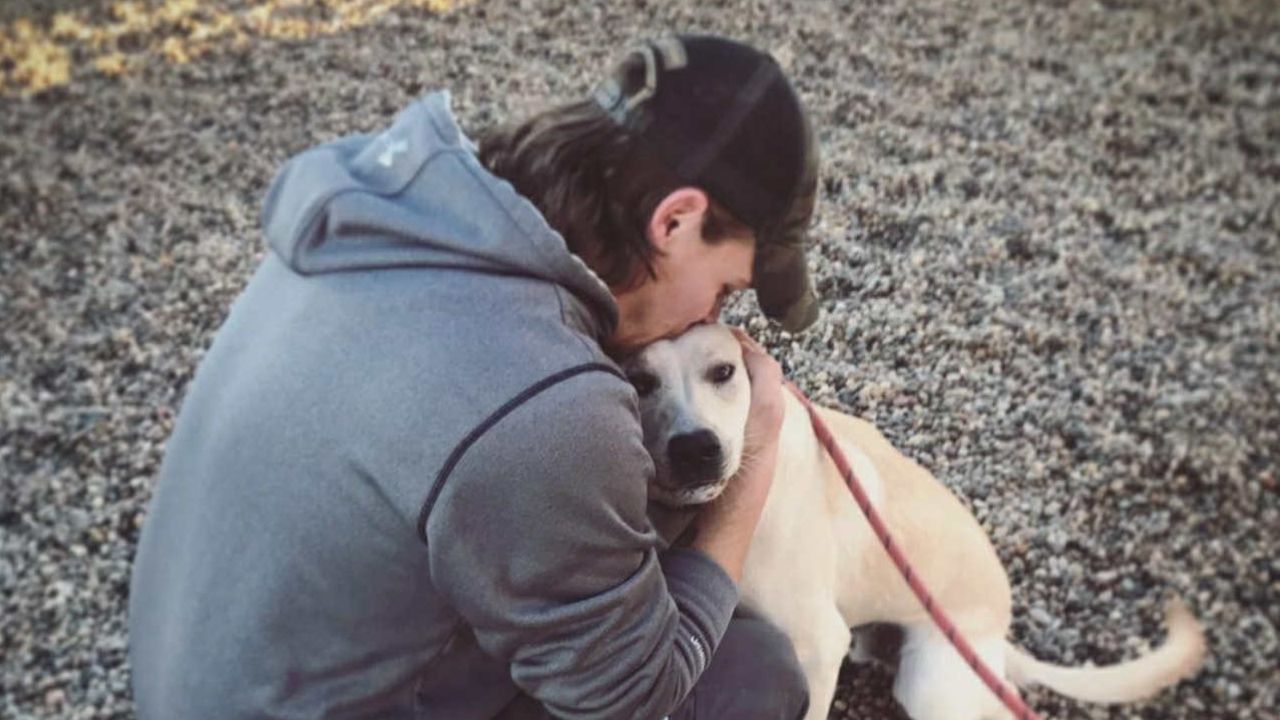 Prince Albert SPCA Partner Image